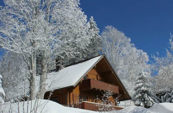 Ferienhaus mit Terrasse und Sauna